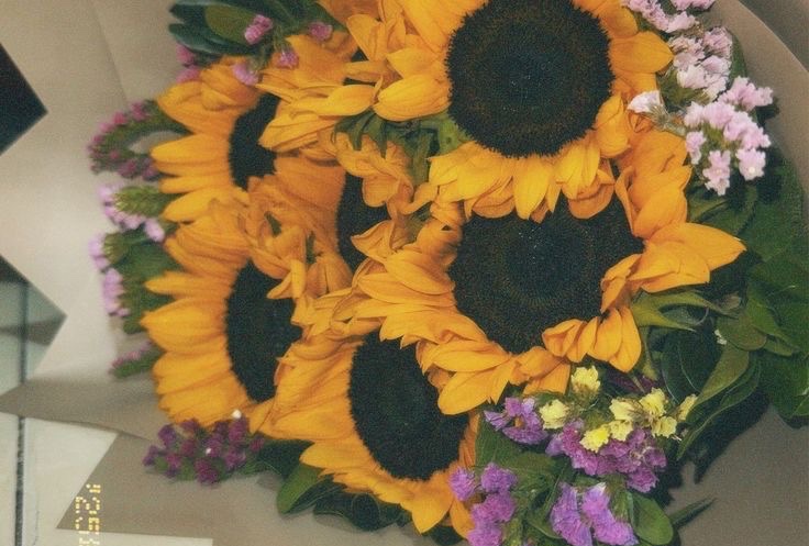 A little sunshine